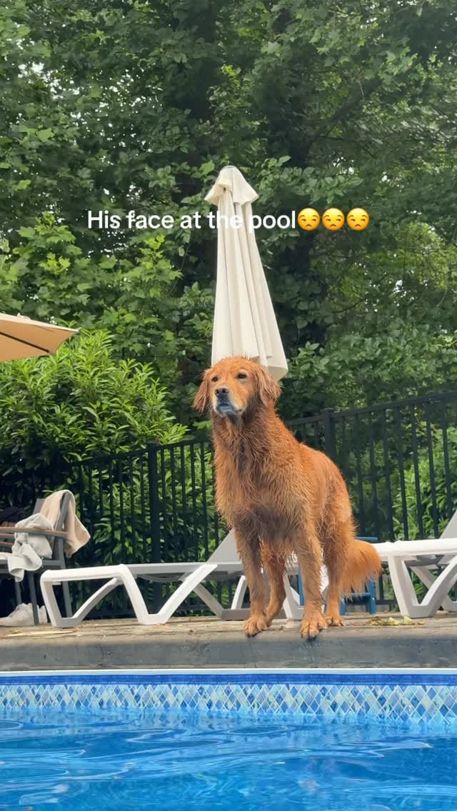 Post 1 by Bentley 🌶️ on Instagram (video)