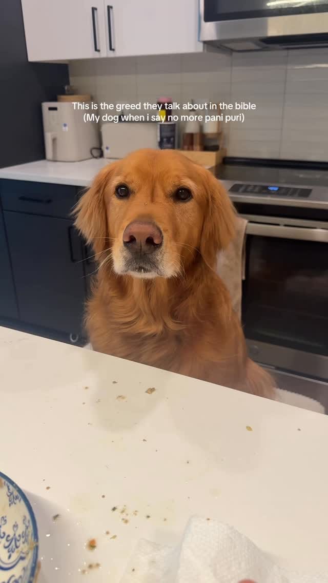 Post 6 by Bentley 🌶️ on Instagram (video)