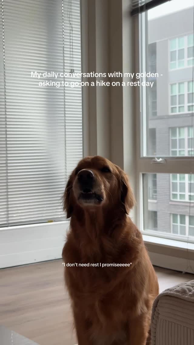Post 8 by Bentley 🌶️ on Instagram (video)