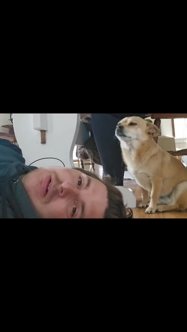 Post 1 by Joshua  Alexander on Instagram (video)