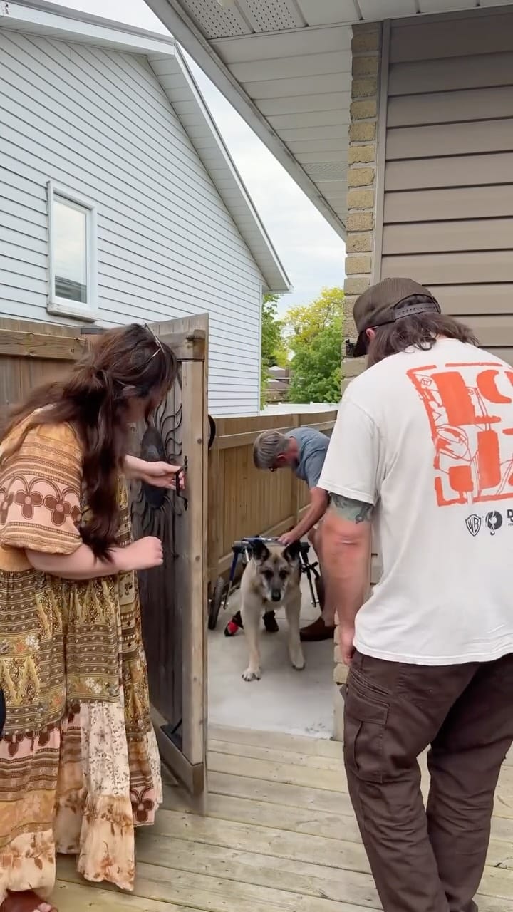Post 2 by Tasha Leelyn on Instagram (video)