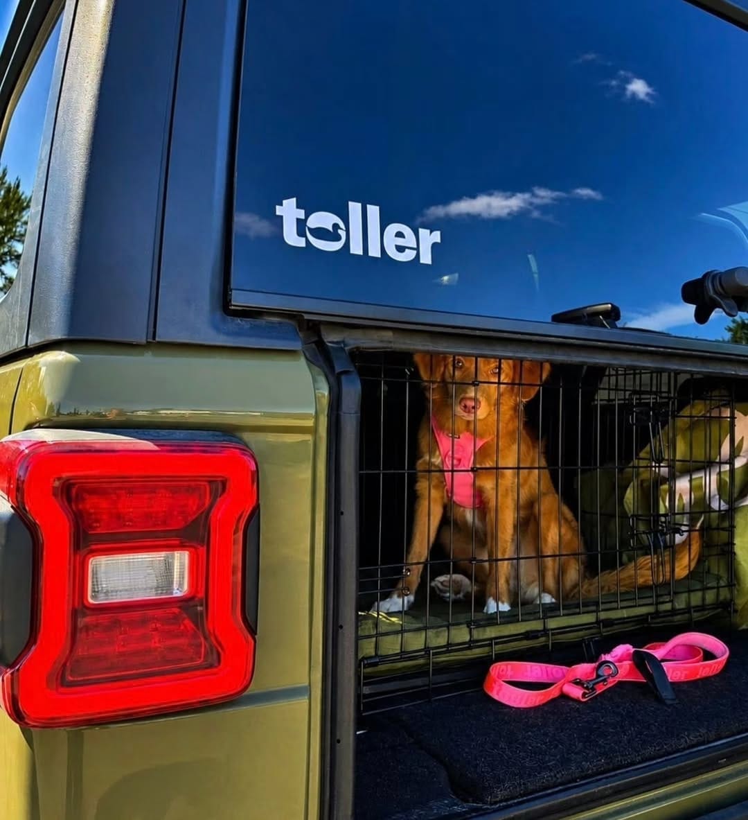 Post 5 by Toller Brand 🐾 on Instagram (image)