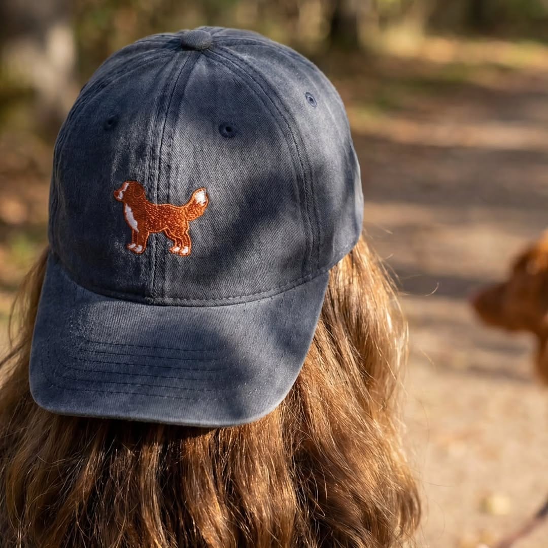 Post 6 by Toller Brand 🐾 on Instagram (carousel)