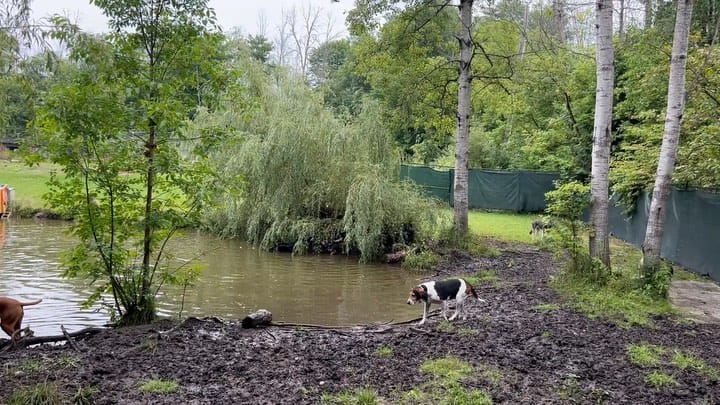 Post 9 by Robert Vandervenne on Instagram (video)