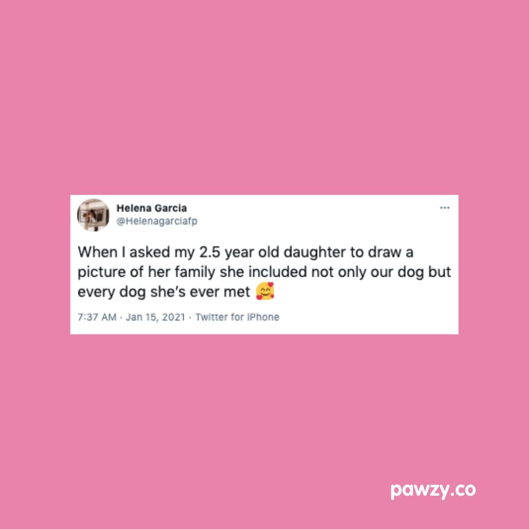 Post 6 by Pawzy on Instagram (image)