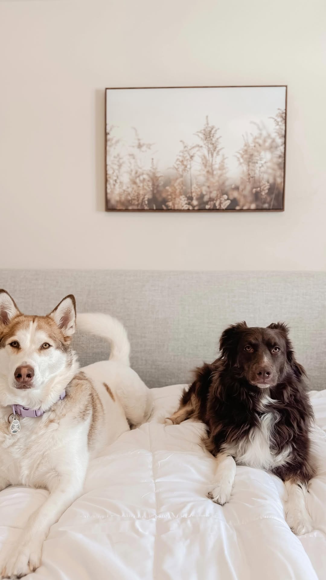 Post 9 by Ally🙋🏼‍♀️ Maze, Meeka, Boone + Friends on Instagram (video)