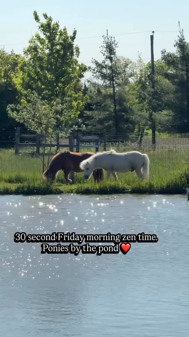 Post 3 by Black Goat Farm Sanctuary on Instagram (video)