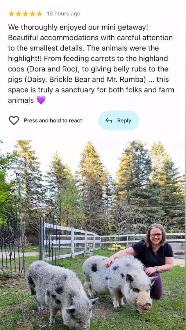 Post 1 by The Taiga Animal Sanctuary on Instagram (video)