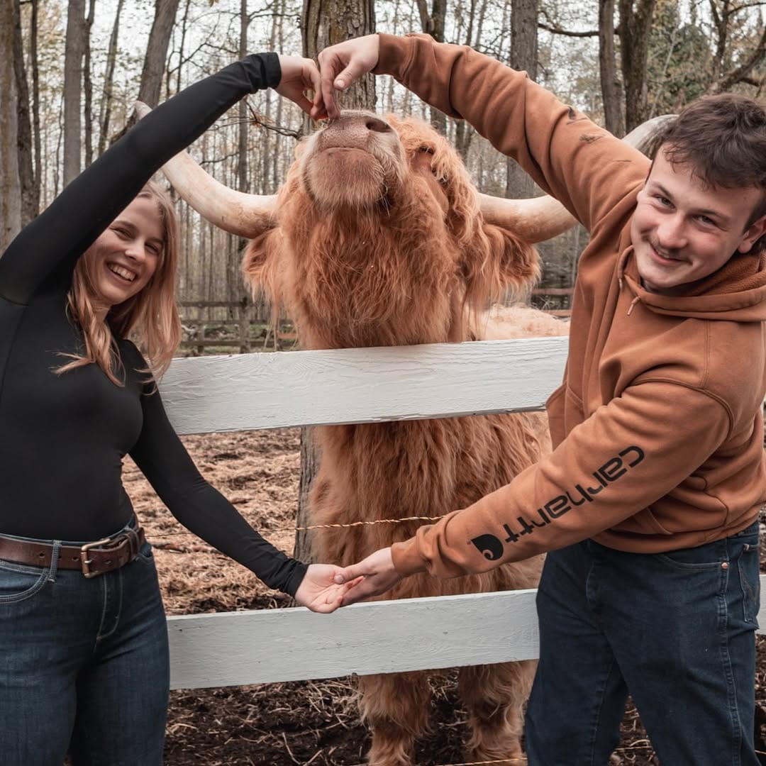 Post 5 by The Taiga Animal Sanctuary on Instagram (image)