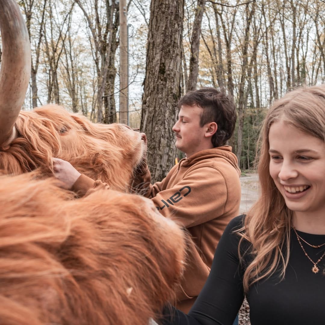 Post 4 by The Taiga Animal Sanctuary on Instagram (carousel)