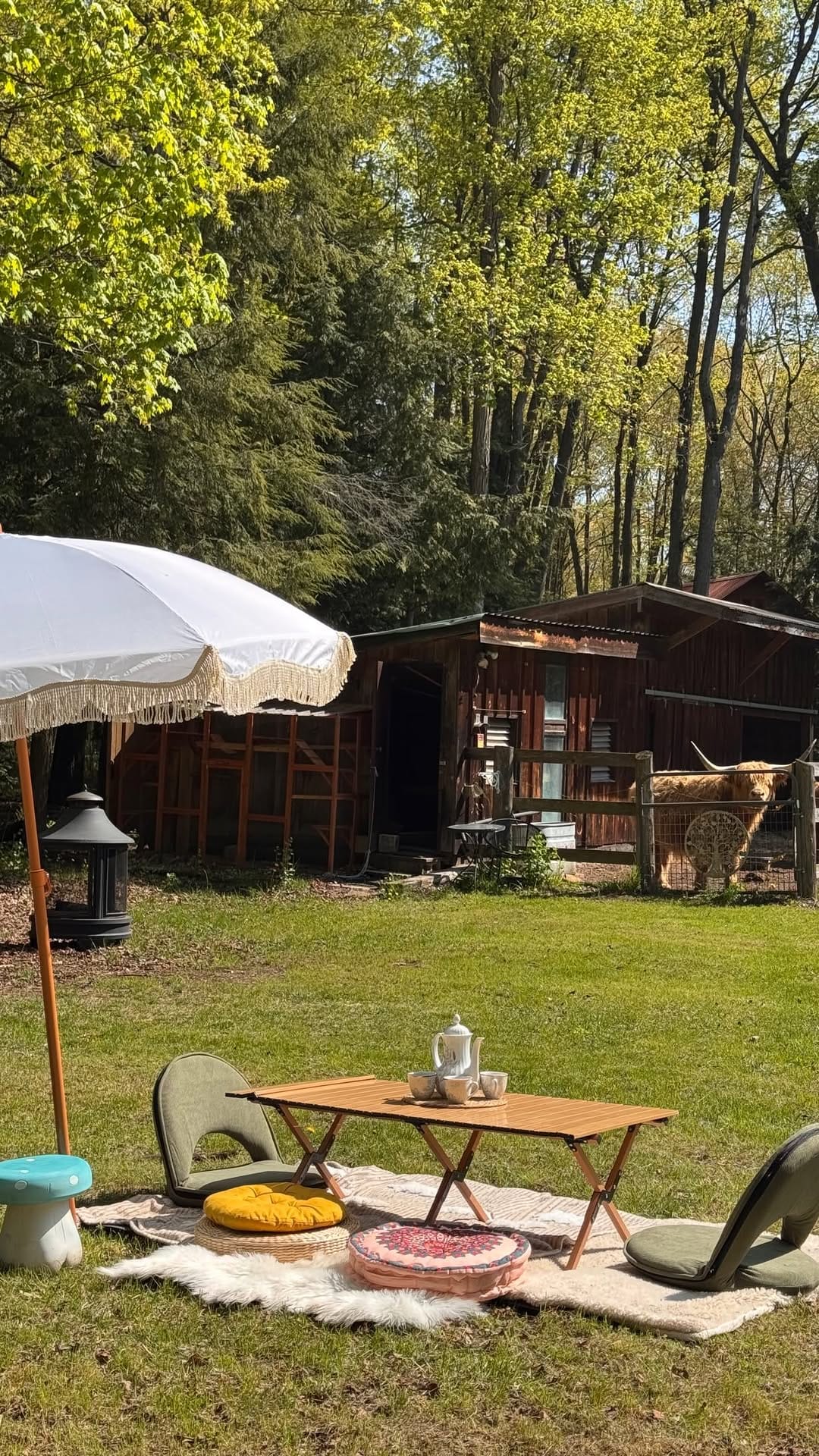 Post 7 by The Taiga Animal Sanctuary on Instagram (video)