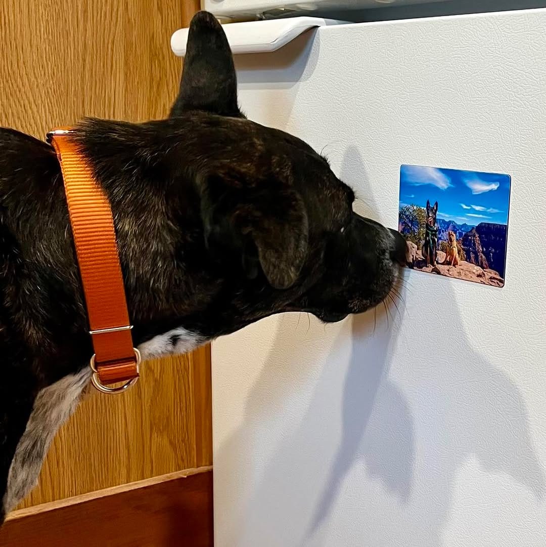 Post 10 by GoPetFriendly.com on Instagram (image)