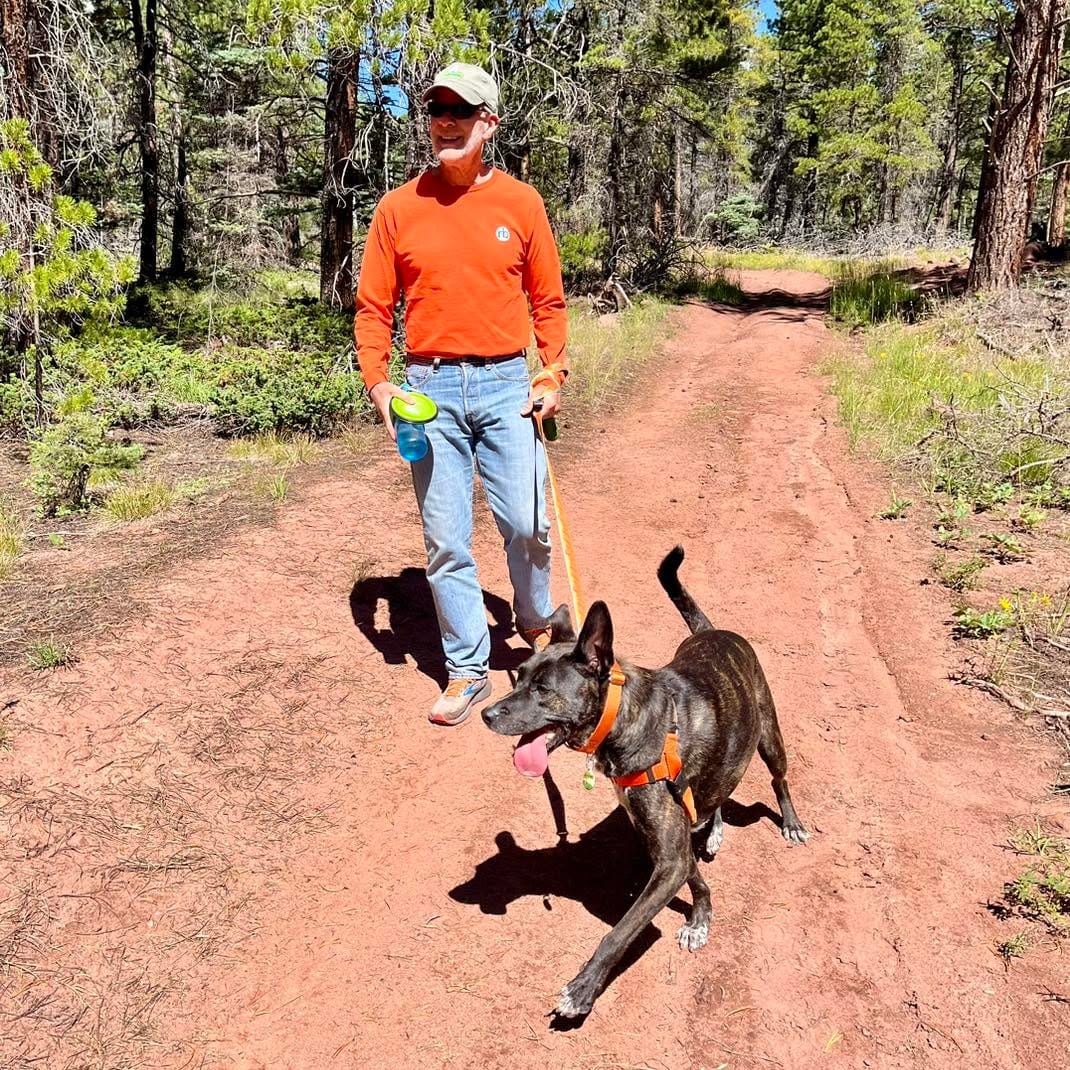 Post 2 by GoPetFriendly.com on Instagram (image)