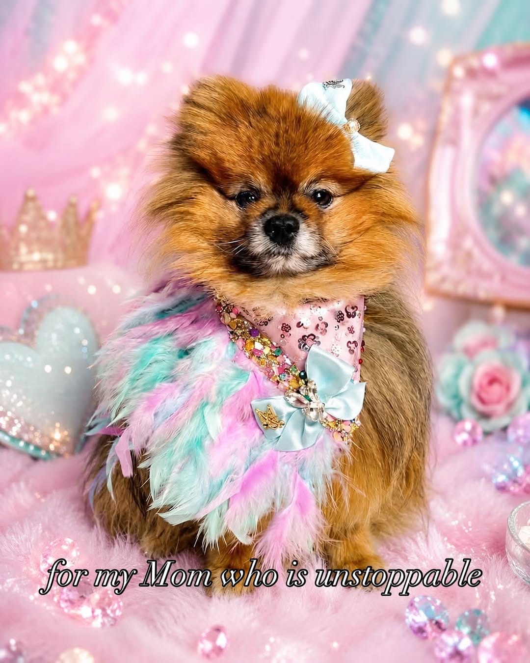 Post 6 by 𝗞𝗟𝗔𝗨𝗦 𝗧𝗛𝗘 𝗣𝗢𝗠 🐶 | 𝗙𝗔𝗦𝗛𝗜𝗢𝗡𝗜𝗦𝗧𝗔 on Instagram (carousel)