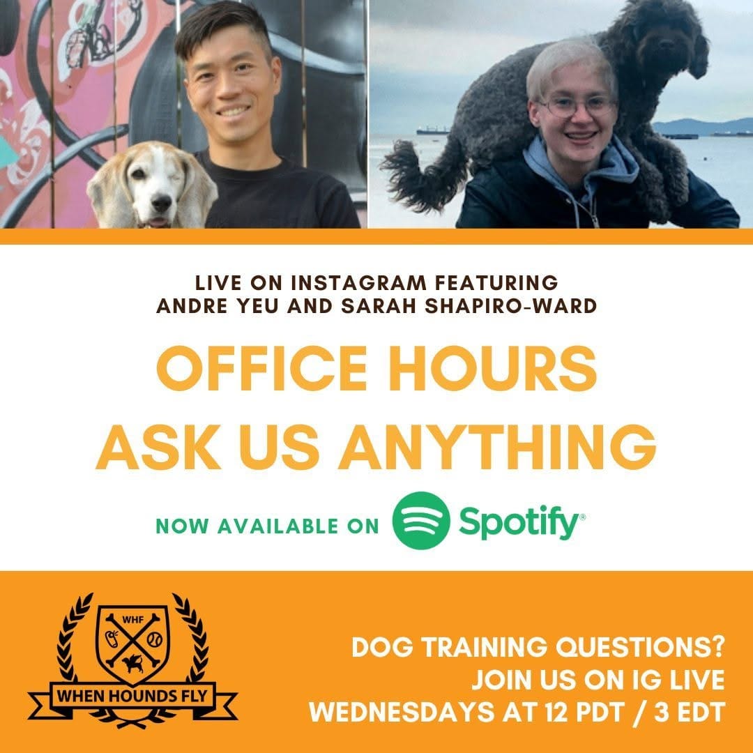 Post 9 by When Hounds Fly on Instagram (image)