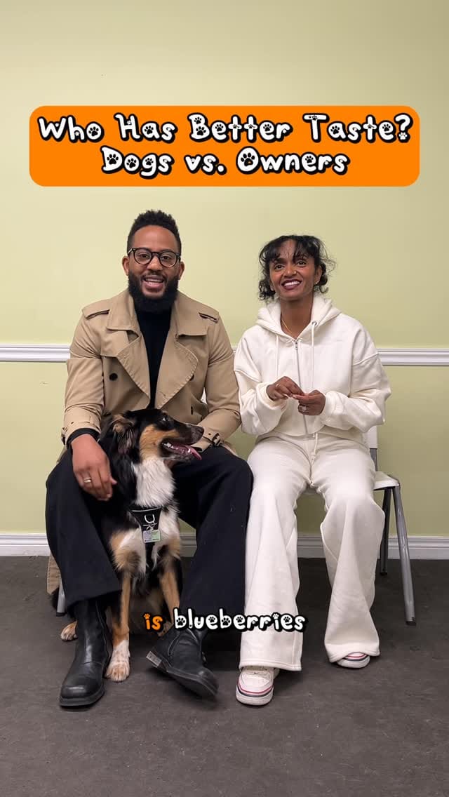 Post 7 by When Hounds Fly on Instagram (video)