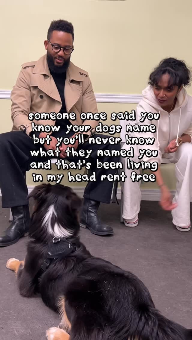 Post 5 by When Hounds Fly on Instagram (video)