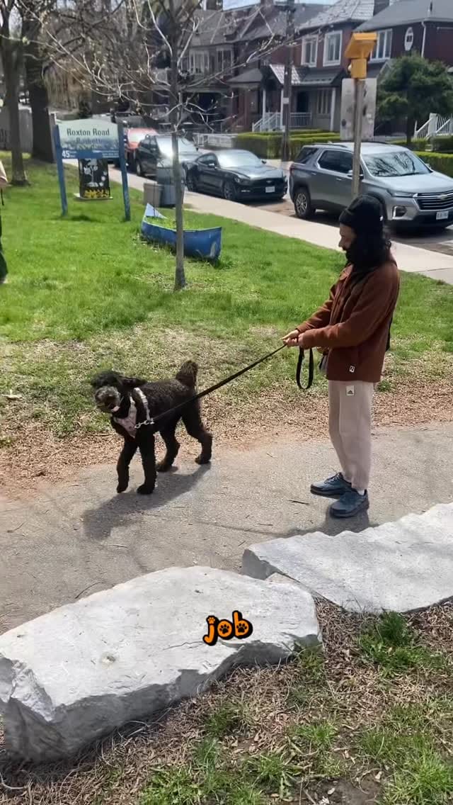 Post 3 by When Hounds Fly on Instagram (video)