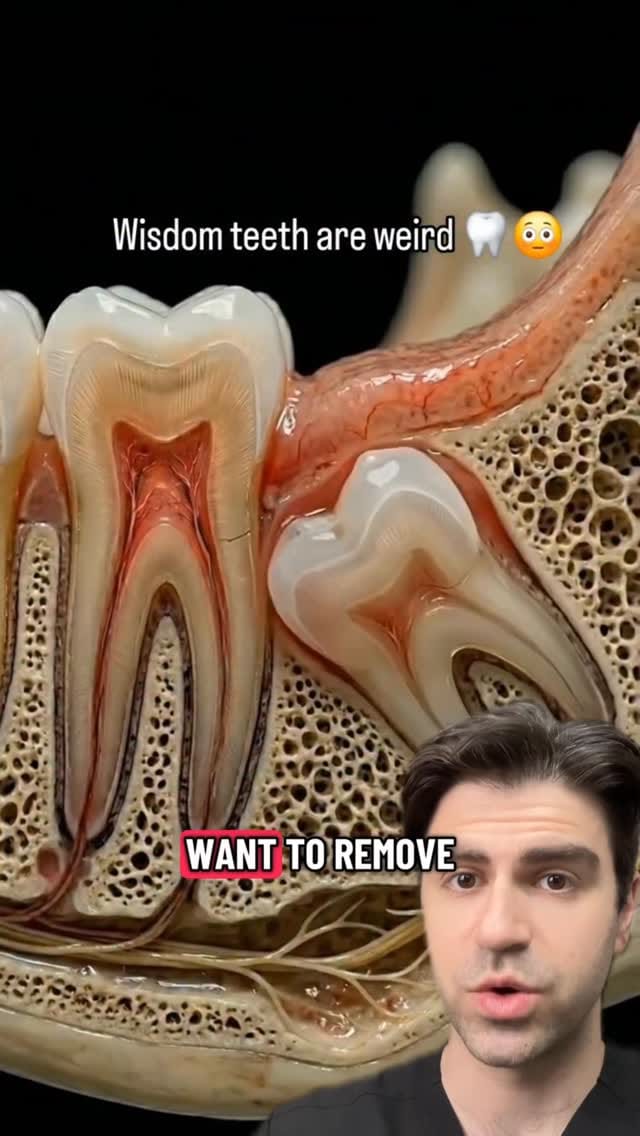 Post 3 by Dr. Kadish - Family Dentist on Instagram (video)