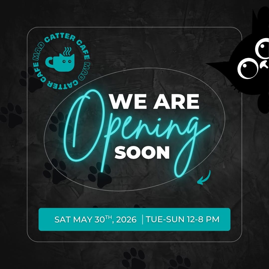 Post 2 by Mad Catter Cafe on Instagram (image)