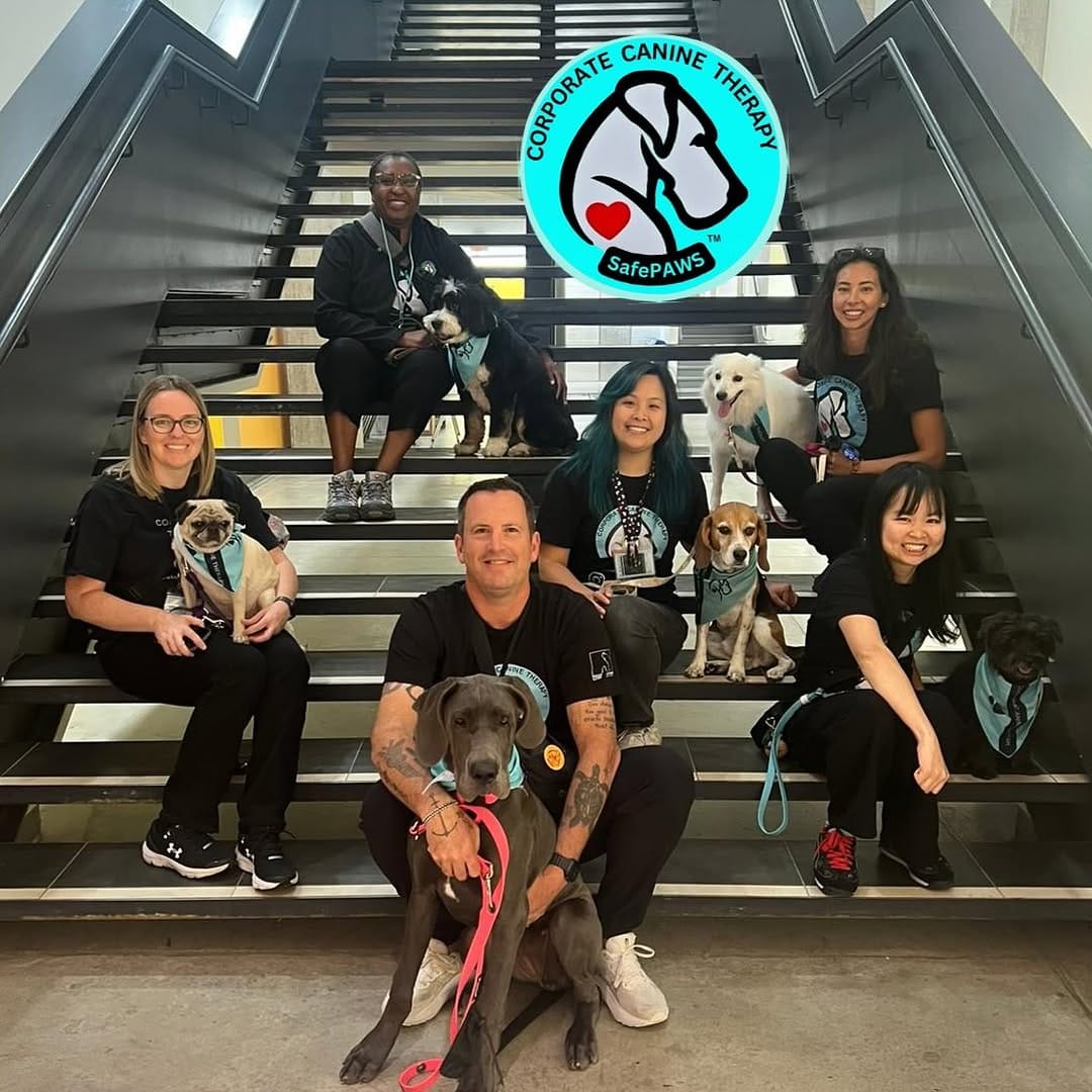 Post 10 by Corporate Canine Therapy SafePAWS on Instagram (image)