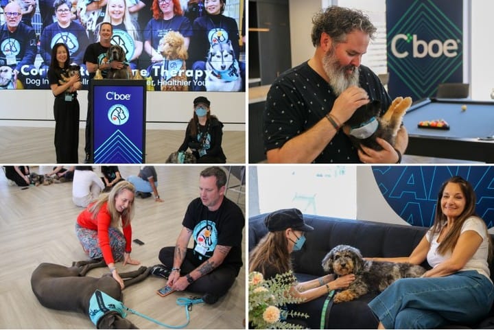 Post 6 by Corporate Canine Therapy SafePAWS on Instagram (carousel)