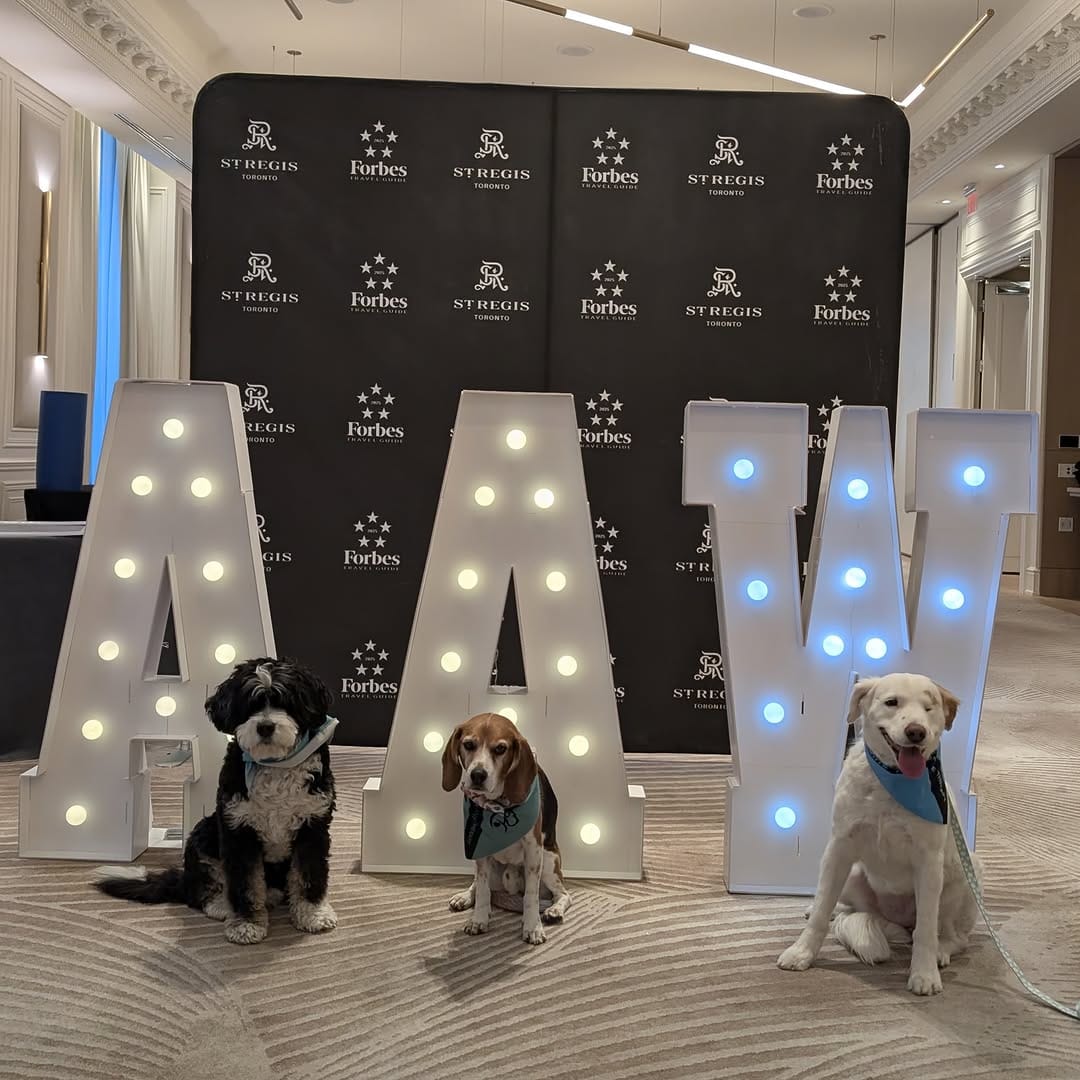 Post 1 by Corporate Canine Therapy SafePAWS on Instagram (carousel)