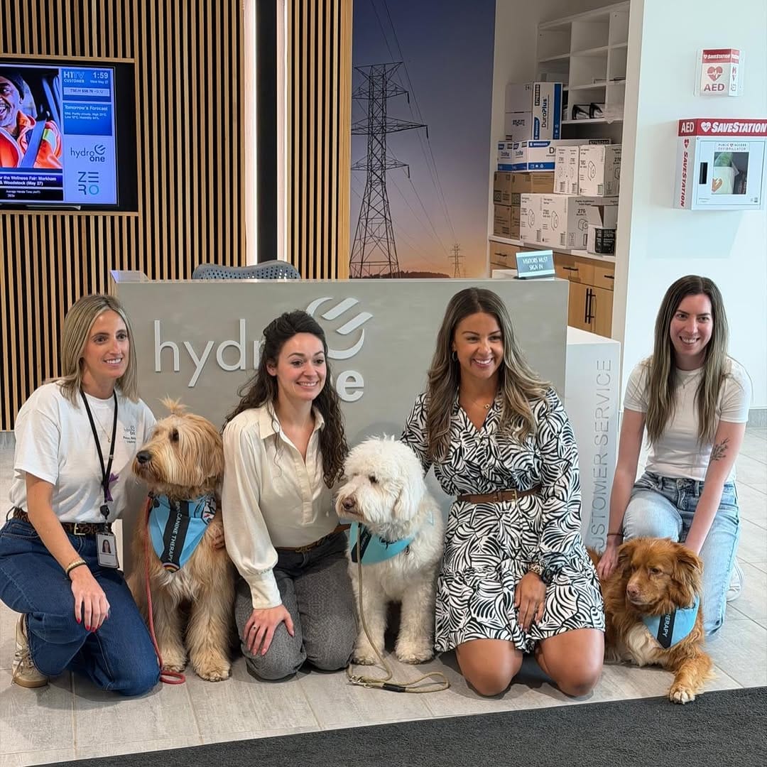 Post 4 by Corporate Canine Therapy SafePAWS on Instagram (carousel)