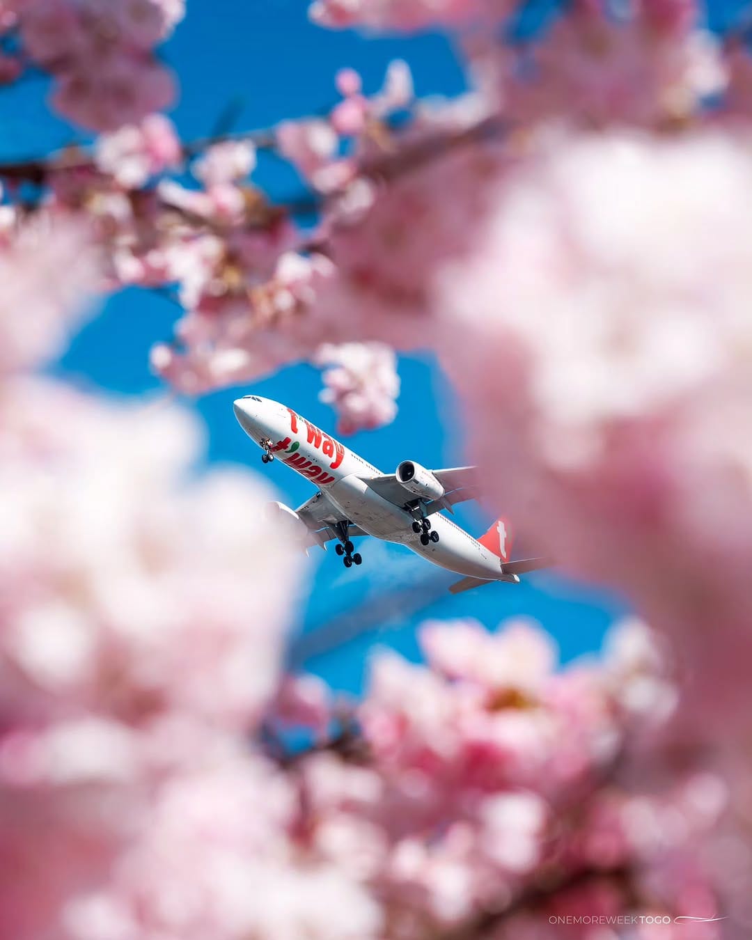 Post 4 by Onemoreweektogo 🇨🇦 on Instagram (image)