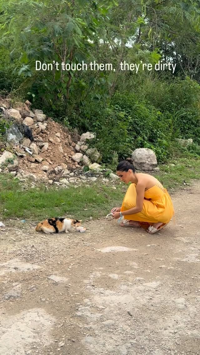 Post 4 by Sehr Mahmood on Instagram (video)