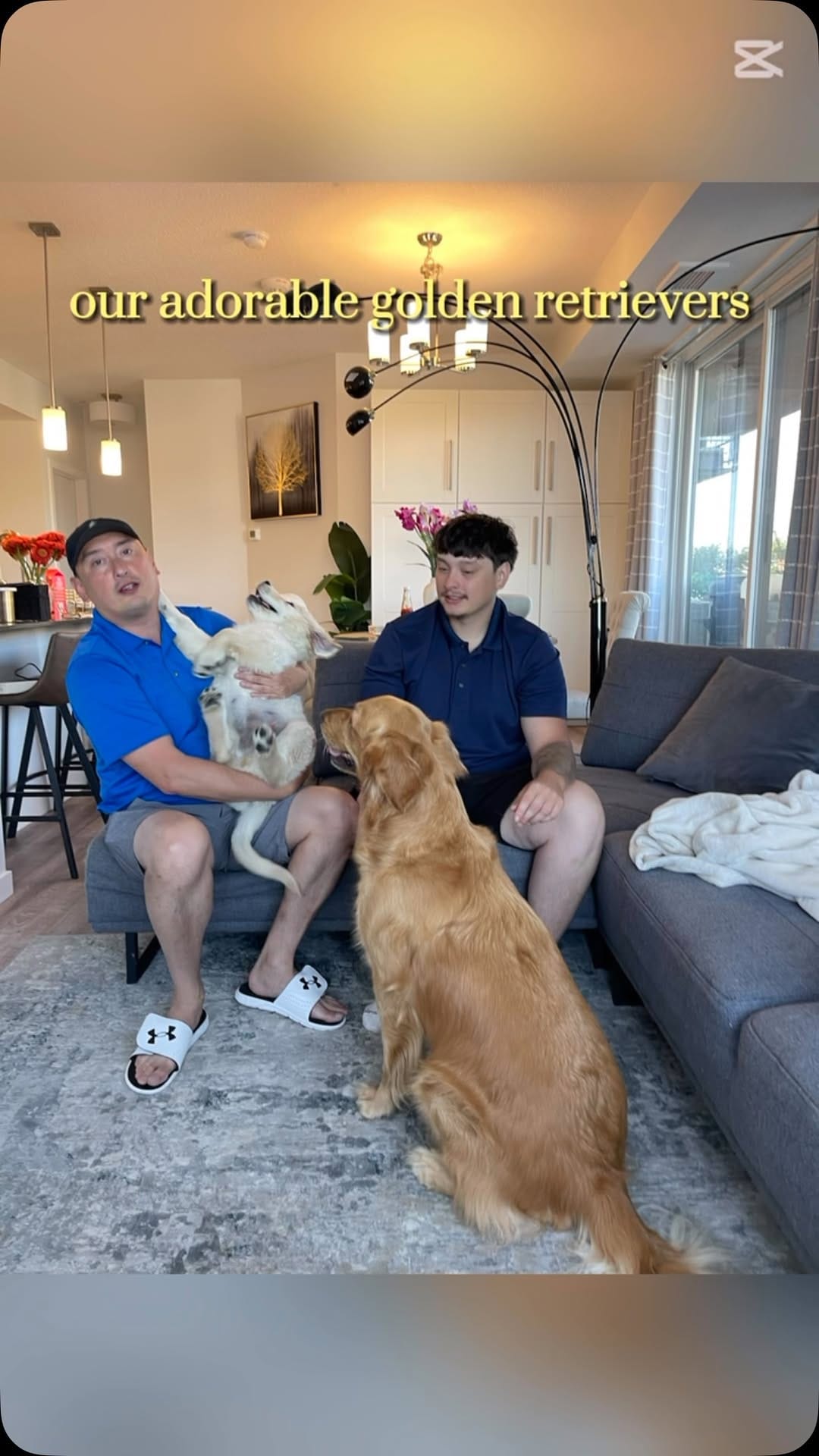 Post 4 by Tank the Duke on Instagram (video)
