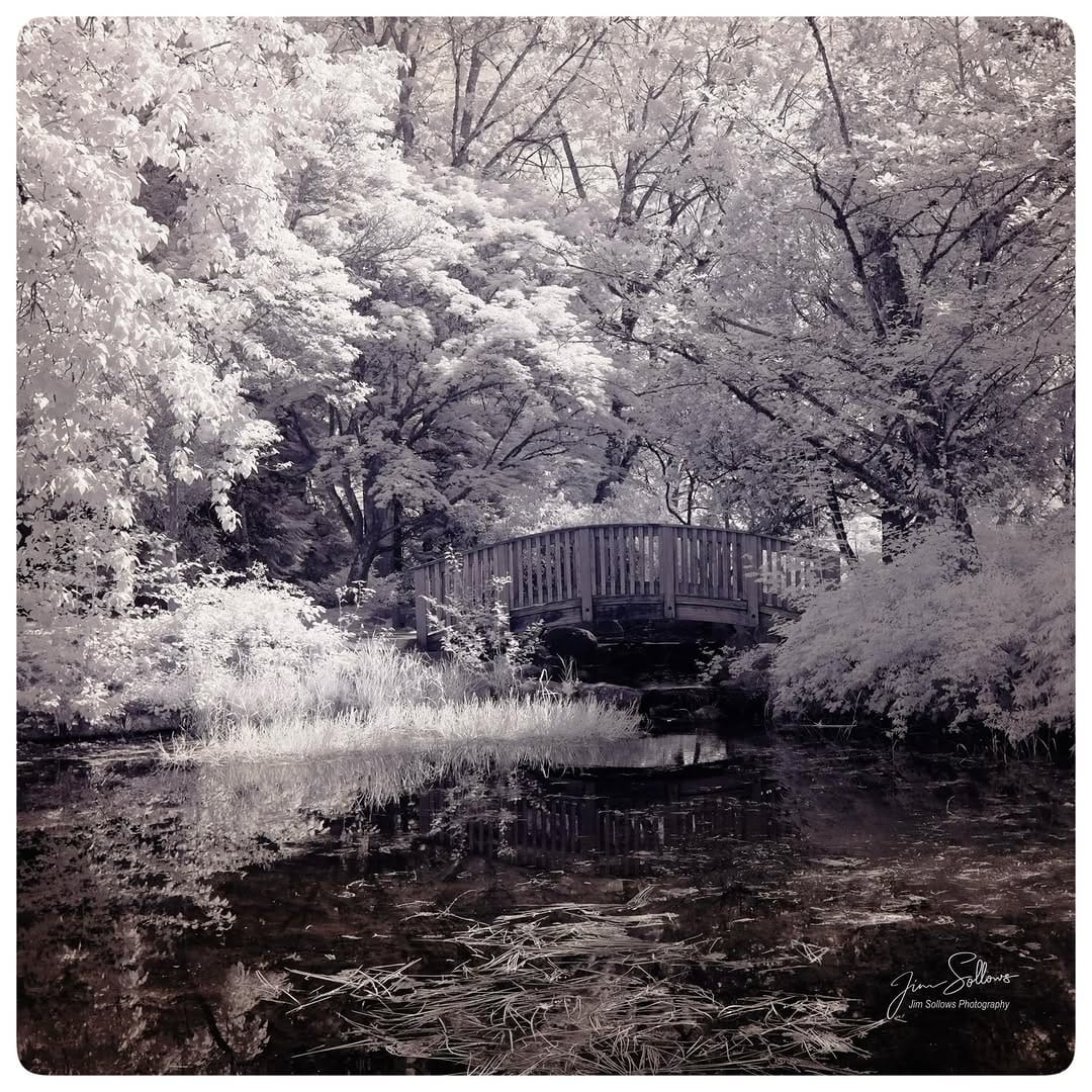 Post 4 by Jim Sollows Photography on Instagram (image)