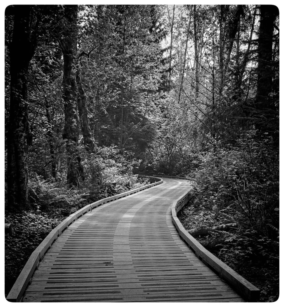 Post 5 by Jim Sollows Photography on Instagram (image)