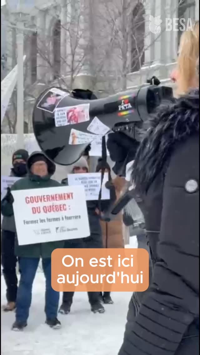 Post 6 by ~~MissNarciss~~ on Instagram (video)
