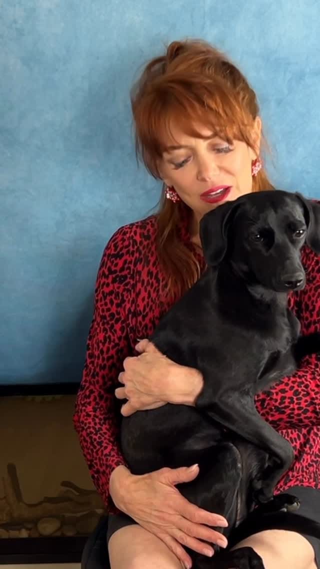 Post 4 by Lynda Boyd on Instagram (video)