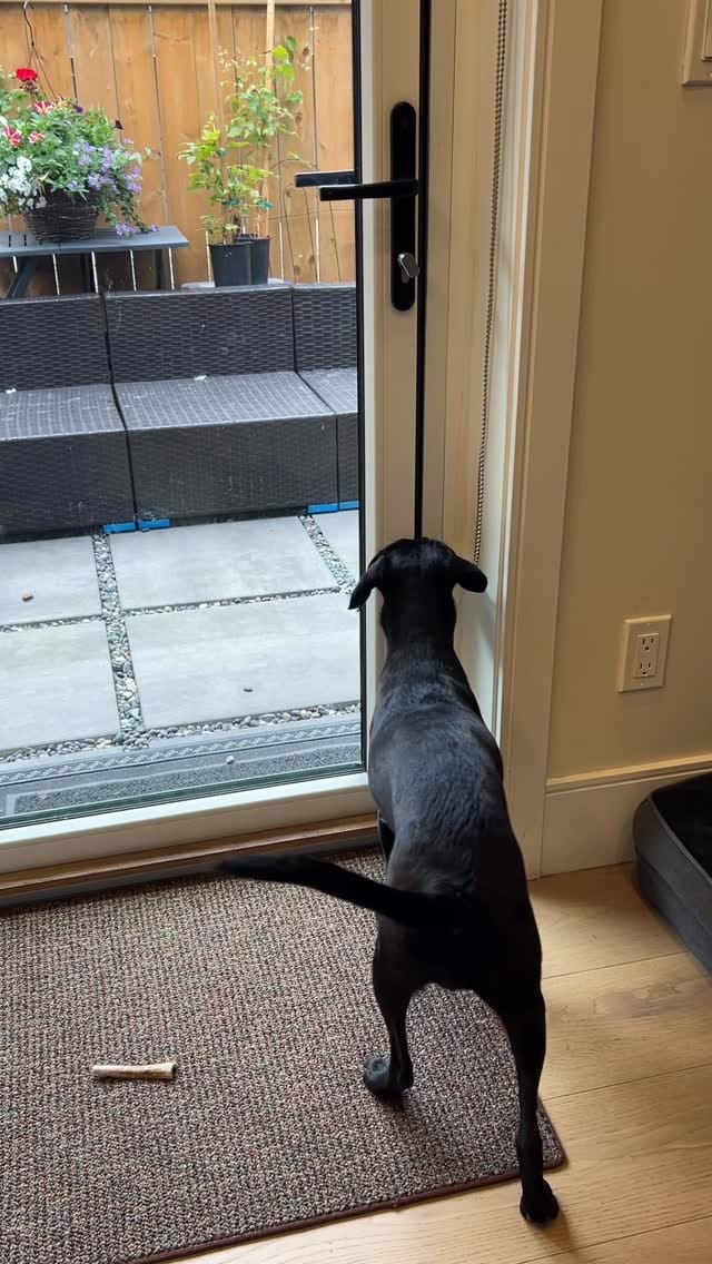 Post 1 by Lynda Boyd on Instagram (video)
