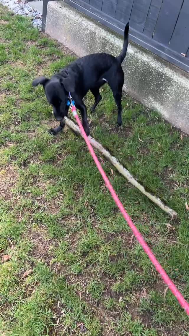Post 9 by Lynda Boyd on Instagram (video)