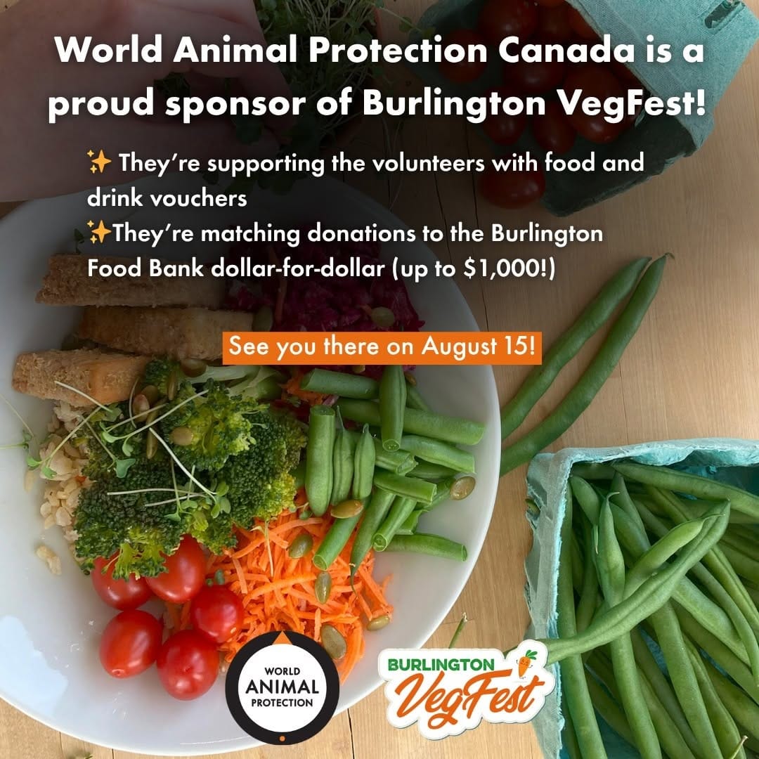 Post 4 by World Animal Protection Canada on Instagram (image)