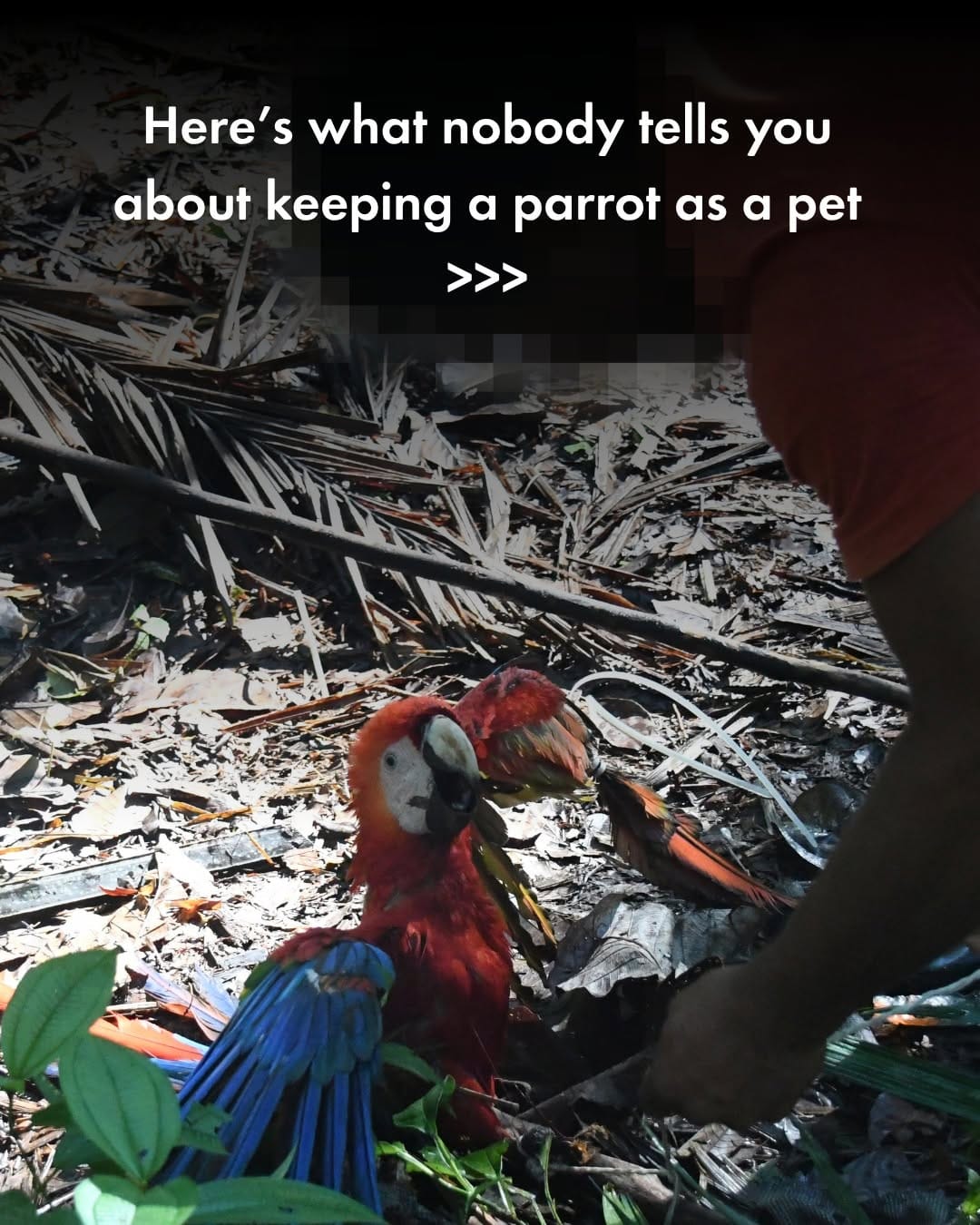 Post 8 by World Animal Protection Canada on Instagram (carousel)