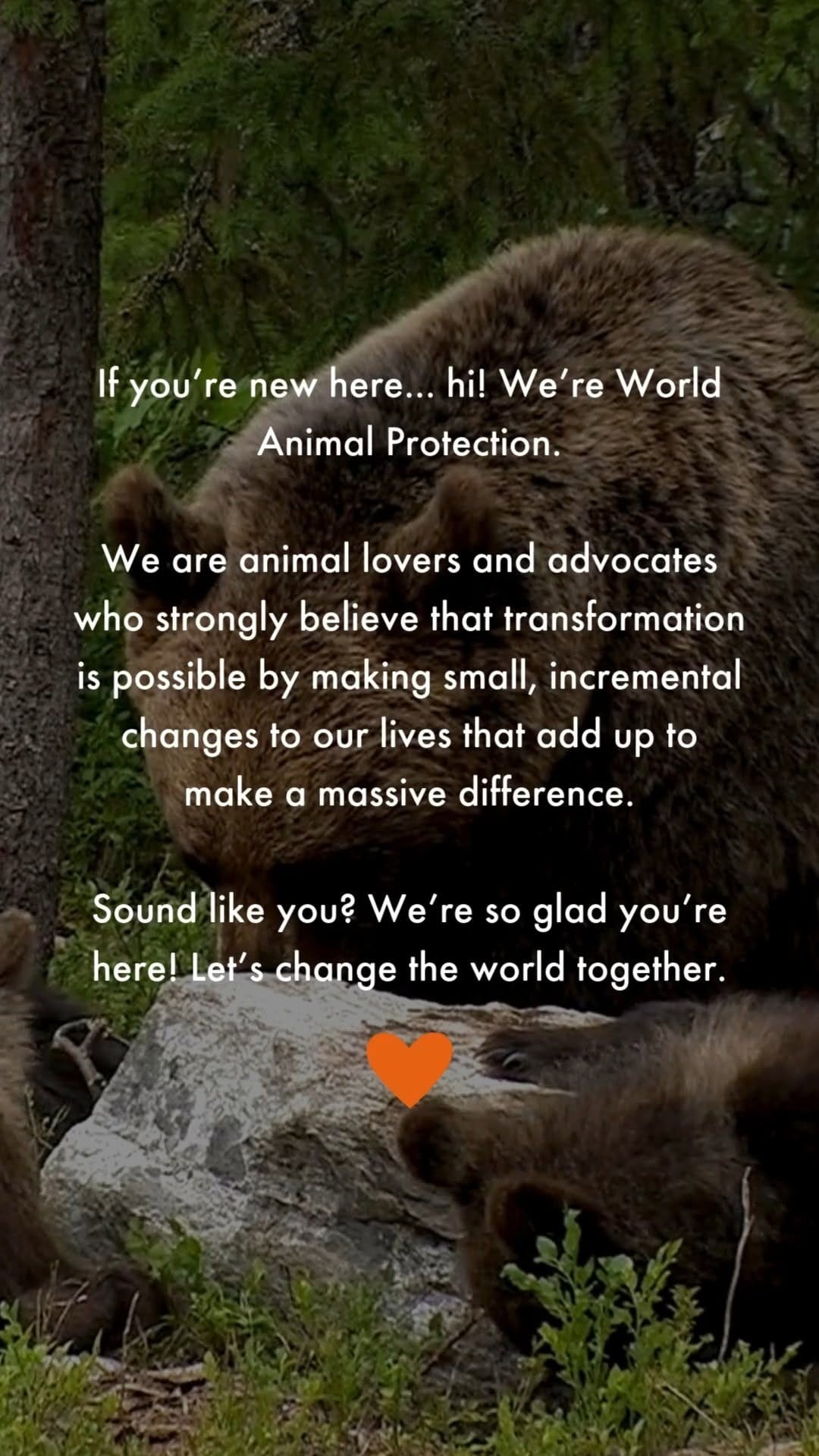 Post 10 by World Animal Protection Canada on Instagram (video)