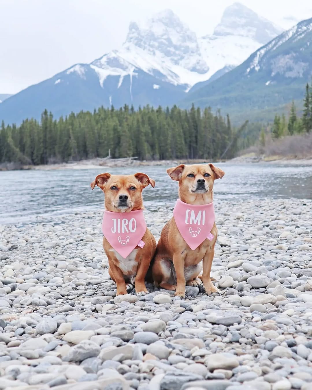 Post 9 by Jiro 💙 & Emi 💖 on Instagram (image)