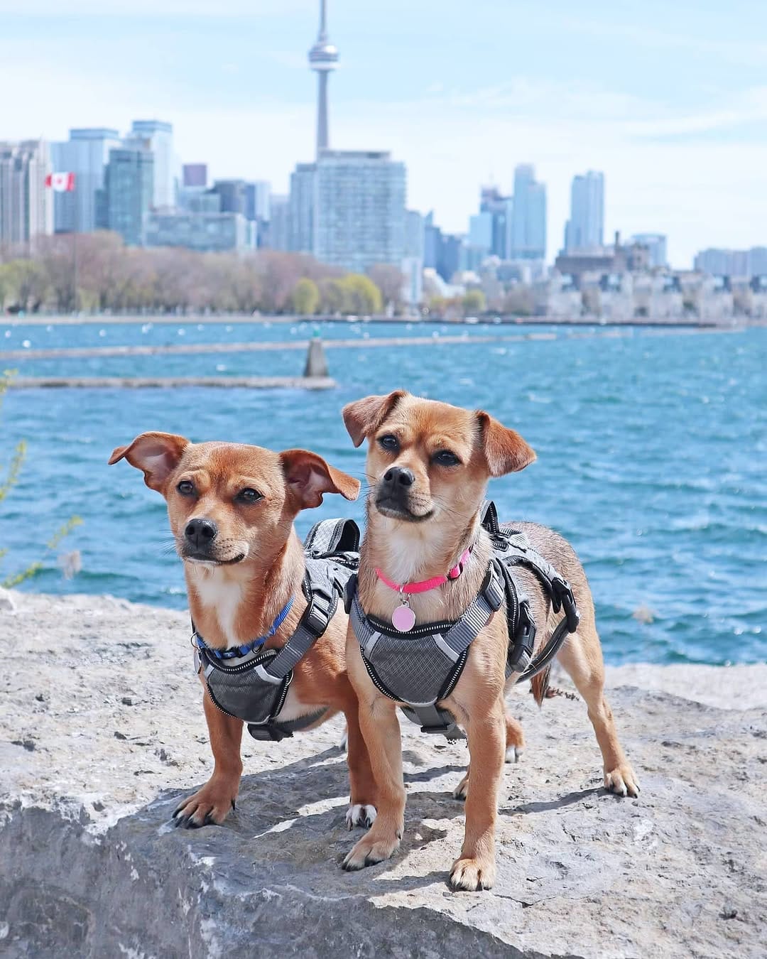 Post 10 by Jiro 💙 & Emi 💖 on Instagram (image)