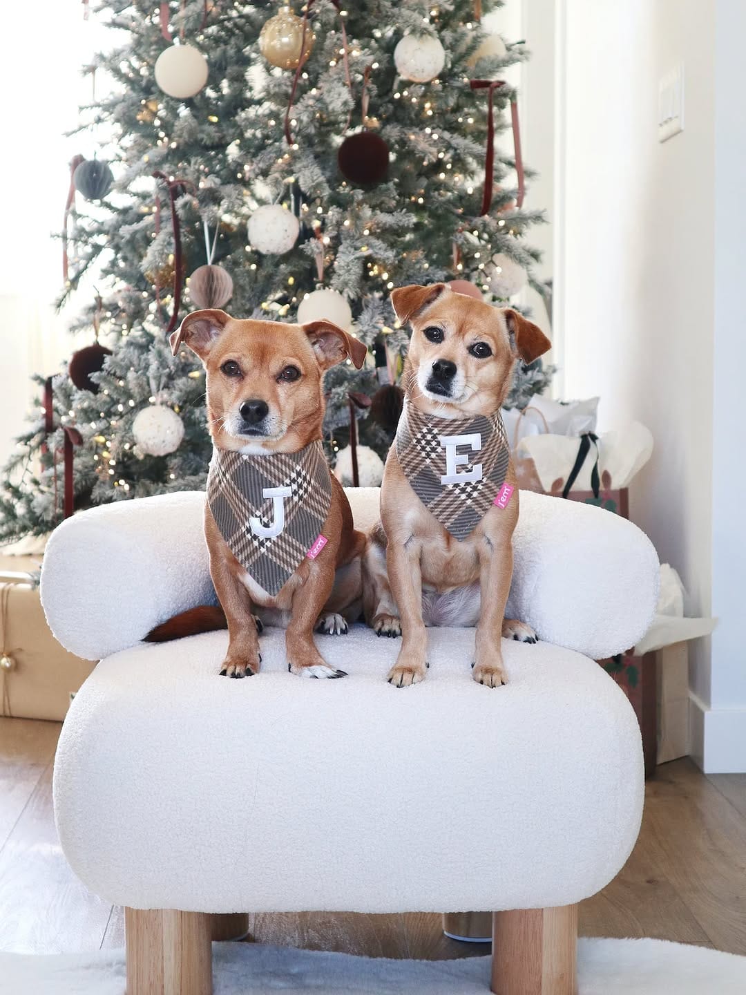 Post 5 by Jiro 💙 & Emi 💖 on Instagram (image)