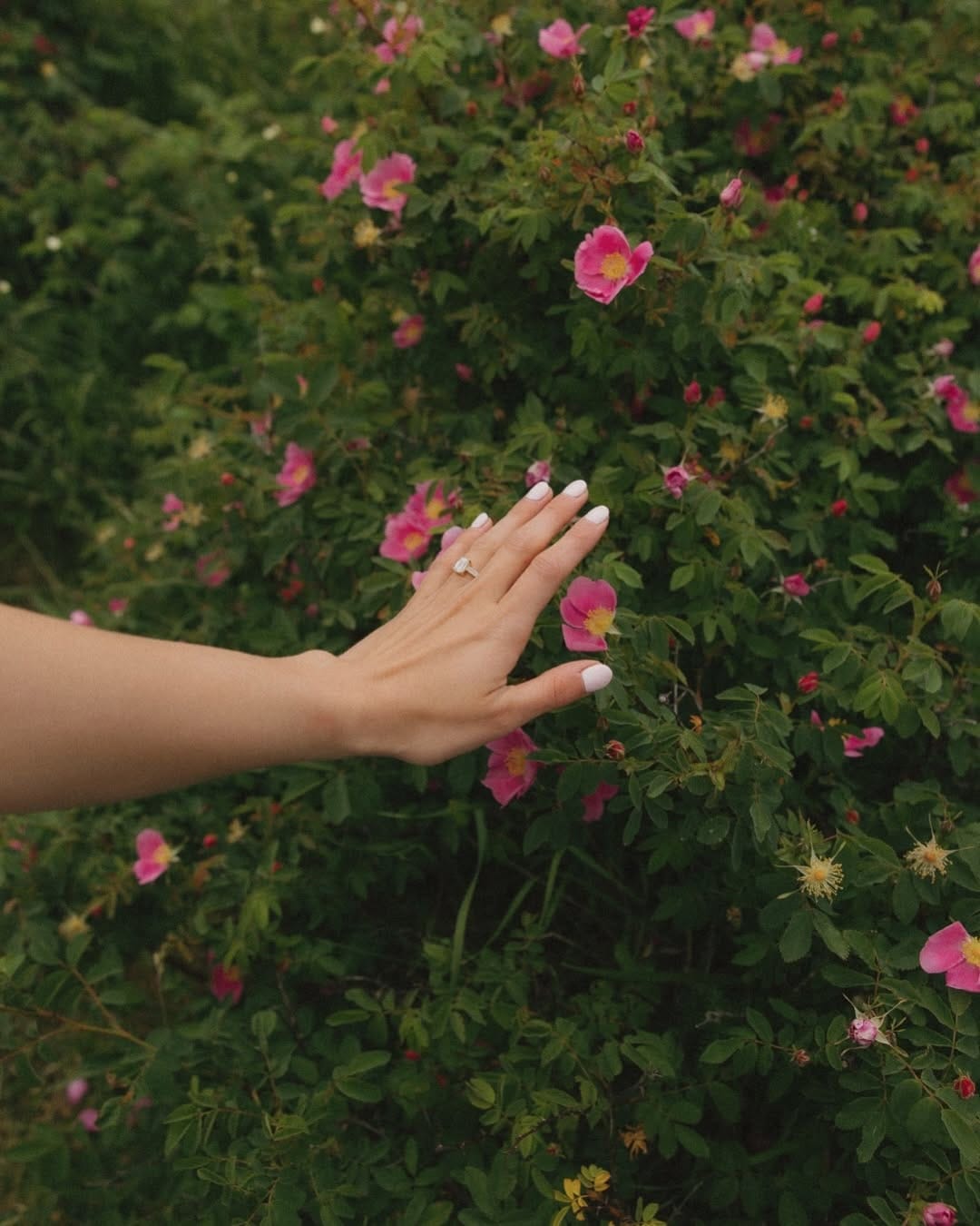 Post 2 by Lexi Lane | BC Wedding Photographer on Instagram (carousel)
