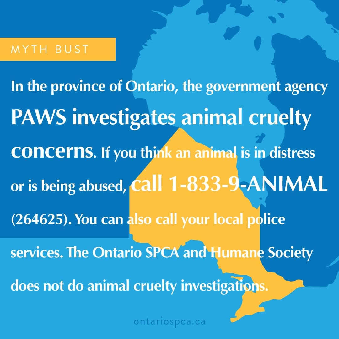 Post 10 by Ontario SPCA and Humane Society on Instagram (image)