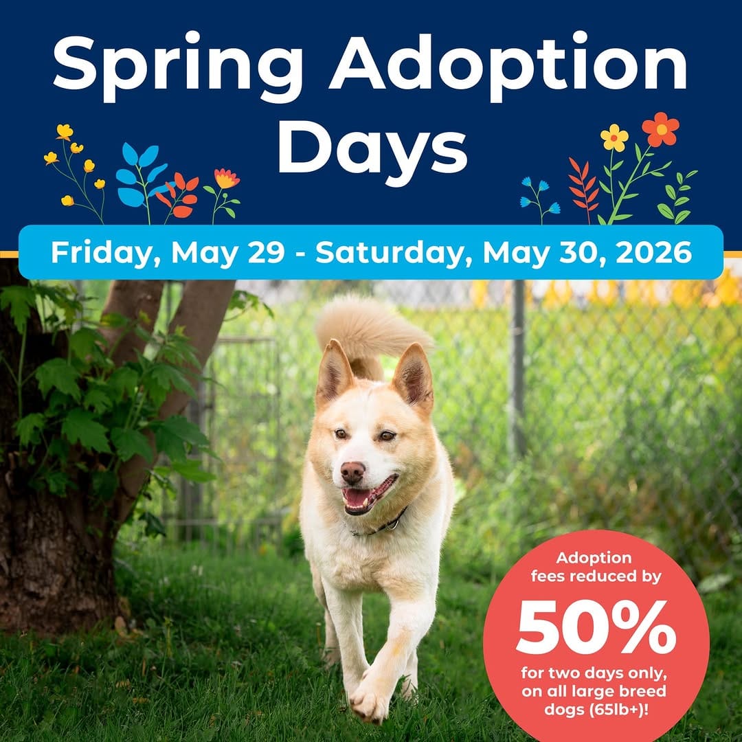 Post 9 by Ontario SPCA and Humane Society on Instagram (image)
