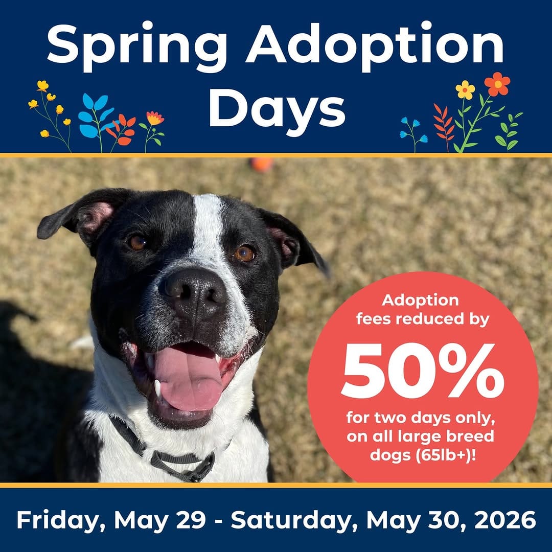 Post 4 by Ontario SPCA and Humane Society on Instagram (image)