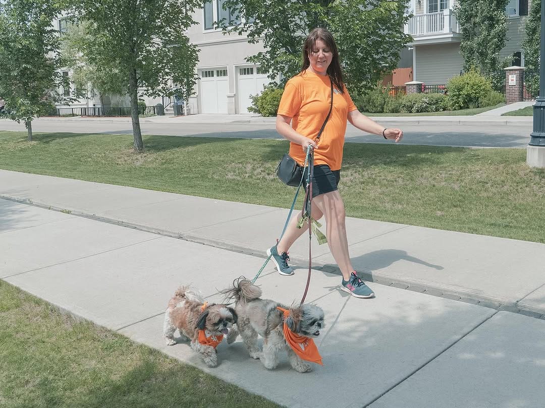 Post 4 by Spot Dog Walkers on Instagram (image)
