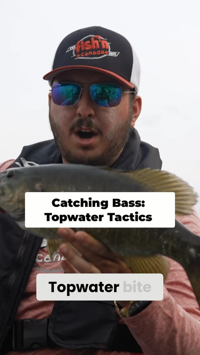 Post 3 by Fish'n Canada on Instagram (video)