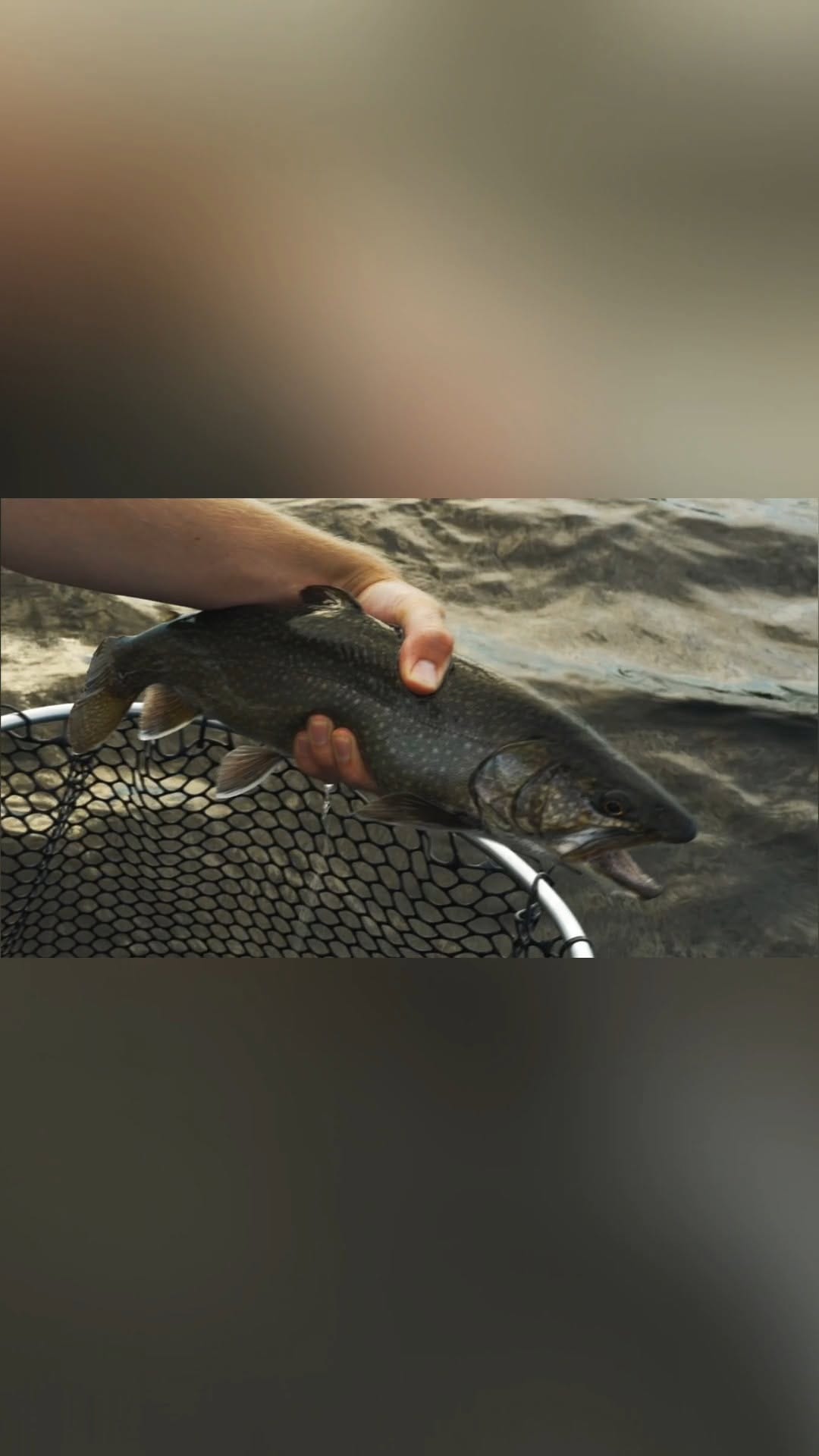 Post 8 by Fish'n Canada on Instagram (video)